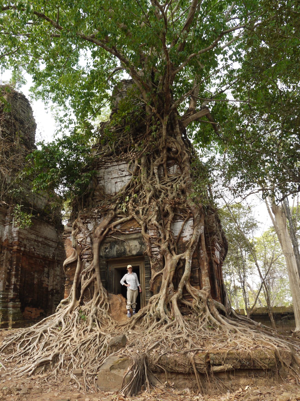 The author standing inside a tree-root-covered temple doorway at Koh Ker